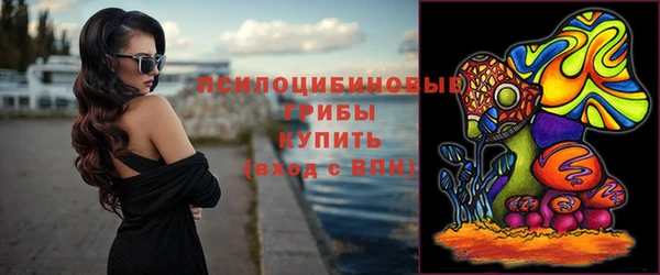 шишки Переславль-Залесский