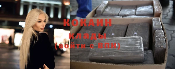 шишки Аркадак