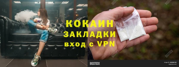 шишки Аркадак