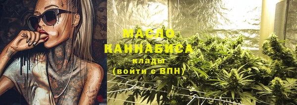 шишки Аркадак