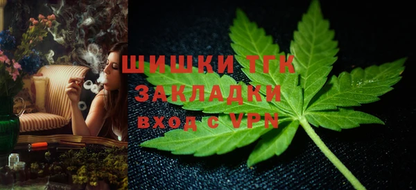 шишки Аркадак