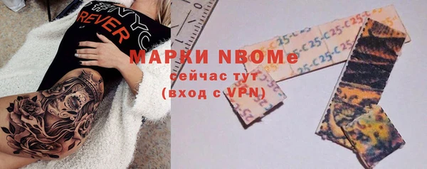 шишки Аркадак